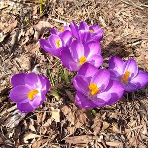 Meet your Posher, Hanna